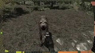 Meeko's Shack Discovered