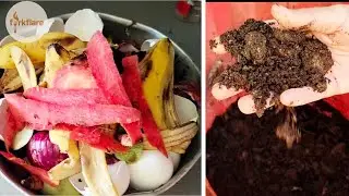 From Kitchen Waste to Healthy Plants 🌱 | 3-Month Compost Journey | forkflare 