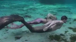 CC the Manatee and the Merpeople wmv