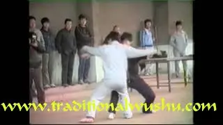 1987 Chen Jia Gou