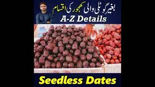 Seedless Khajoor ki Best Varieties ki Kheti - PART-1