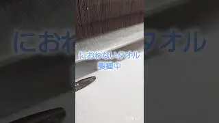 #short #工場見学 #商品紹介 #染色 #factory #dyeing #weaving #textile #japan