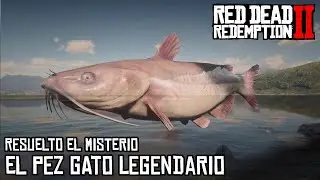 Resuelto - Misterio del Pez Gato Legendario... pero no como esper&aacute;bamos - Red Dead Redemption 2