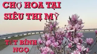 Costco bán Hoa Đào quá rẻ 2026#costco #tet #luna 
