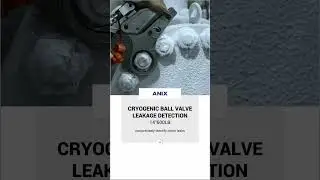 14''600LB CRYOGENIC BALL VALVE LEAKAGE DETECTION-ANIX