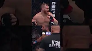 Exciting MMA fight with impressive KO finish