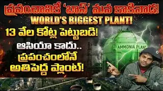 World's largest green ammonia plant in kakinada..japaan singapore కూడా సరిపోవు🔥జాబ్స్ కి లోటు లేదు!!