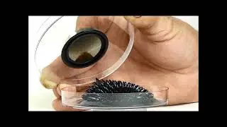Smart material: Electrorheological and magnetorheological fluids
