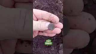 J&aacute;szkakasok! #metaldetecting #archeology #museum #history #nature
