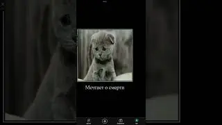Девочка эмо
