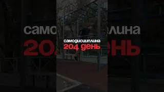204 день | Самодисциплина | собираю лучших 2362/10.000 #дисциплина #саморазвитие #самодисциплина