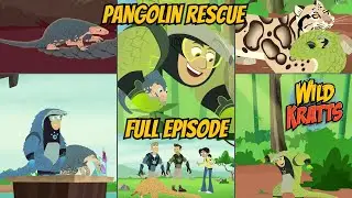 Wild Kratts Special China Adventure E02 Pangolin Rescue (S04E11)