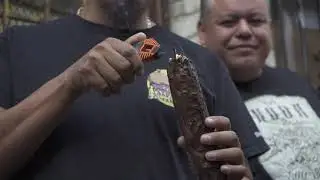 West Coast Weed Tour Oakland (Bay Area Cannabis Event)
