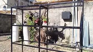 🤩😍🤩Acompáñame a pintar el estante de plantas colgante #yoanny #plantas #suculentas y más 🤩😍🤩