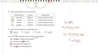 9700/13/O/N/21 | AS LEVEL BIOLOGY 9700 PAPER 1 | OCTOBER/NOVEMBER 2021 | PAPER 13 | SOLVED
