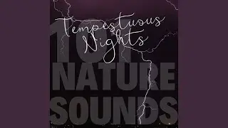 Sound of Nature