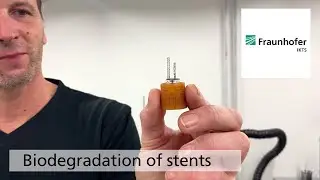 Testing the quality of cardiovascular stents by simulating the interaction with human tissue