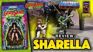 Motu Origins Sharella REVIEW! Army Building Potential!