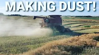 Case IH 1680's Trying The Canola!! Sieve Repair, Bearings And Feeder House Pan!! Combine World Visit