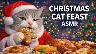 Santa Chubby Cat Eats Christmas Foods From Around the World 🎅🐱🎄✨