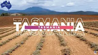 Statistical Data in relation to Christianity (Comparing Census Data 2021) - Tasmania