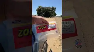 Shoutout to Zoom Bait Company for the white Pearl Flukes. Caught me a biggen.