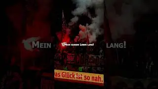 Energie Cottbus! Ich erinner' mich an alte Tage! Fangesang Edit mit Text! #energiecottbus 🔴⚪💪