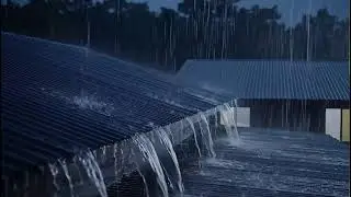 Live Heavy Rain on Rooftop with Gentle Thunder | ASMR Sleep Live