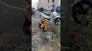 Il mio cane ha deciso di buttarsi in una pozzanghera il giorno in cui mi sono vestita elegante