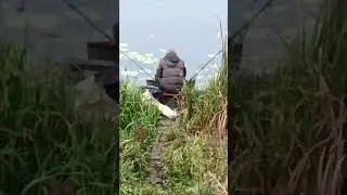 За вікном 3 жовтня 🍁