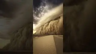 Sandstorm ⚠️ Desert Awakens