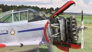 Great OLD PROPELLER Pratt and Whitney R-985 Airplane Engines Cold Start and Sound