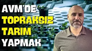 Bu Tarlada 365 Gün Hasat Var | 1 Dönüm, 315 Dönüme Eşit