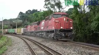 TRENS DE CARGA NO CORREDOR | VACA VERDE & AC44i MRS 2056 (OUTUBRO 2021)