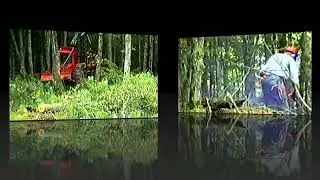 Canada 1990 I