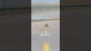 Сурки дерутся на дороге 😂 #истории #история #новости #новость #shorts