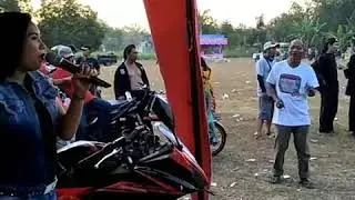 Wasek
