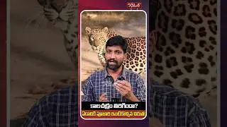 Same priest's house.. same leopard.. second time!