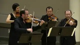 Mozart Symphony #29, 1st movement