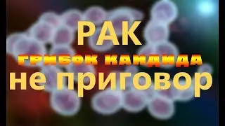 рак - грибы кандида