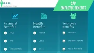 SAP Employee Benefits | Benefit Overview Summary