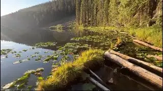 Spinner Fishing for Trout (Cutthroat, Rainbow) with Miles and John