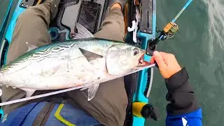 Tournament Fishing In The Martha's Vineyard Derby!