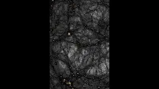 Is There a Fourth Domain of Life ?  Exploring Biological Dark Matter