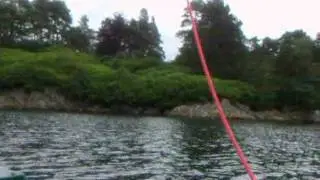 ocsg 2011