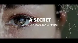 TokenMarket - Elven Media