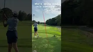 Whose swing does this remind you of #golfattire #badgolfer #manifestedit