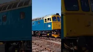 Class 33, 33202 at Mangapps Farm railway museum