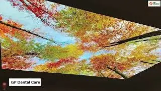 Printed Stretch Ceiling | TM Global Ceiling Solutions