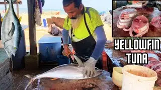 Perfect Yellowfin Tuna Cutting - Pro Tips for Clean Fillets | Cutting Techniques & Tricks